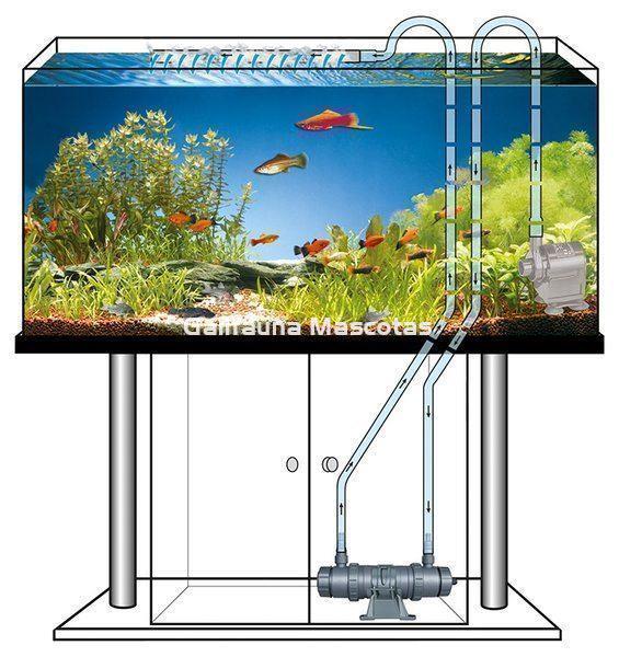 SERA Sistema de lámpara UVC 55 X. Clarificador de agua UV-C - Imagen 5