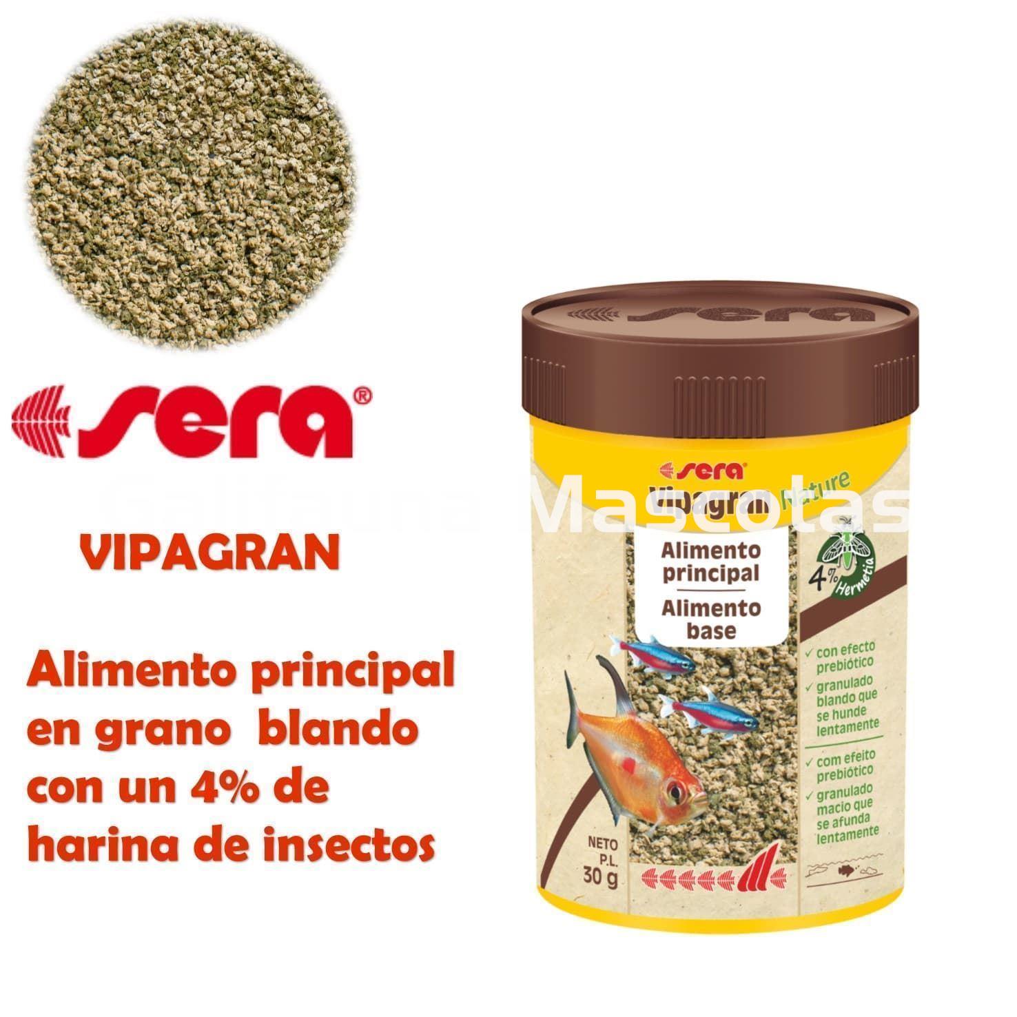 SERA Vipagran, alimento granulado para peces - Imagen 1