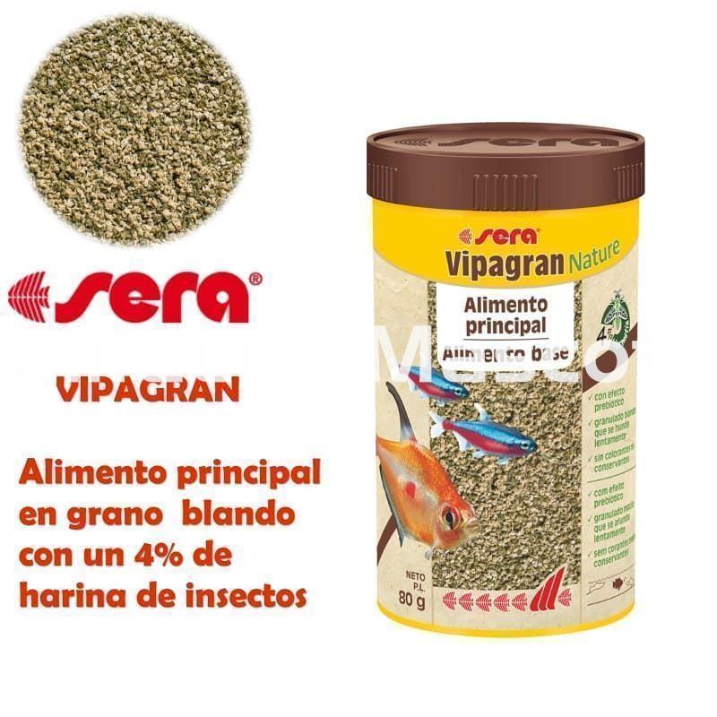 SERA Vipagran, alimento granulado para peces - Imagen 3