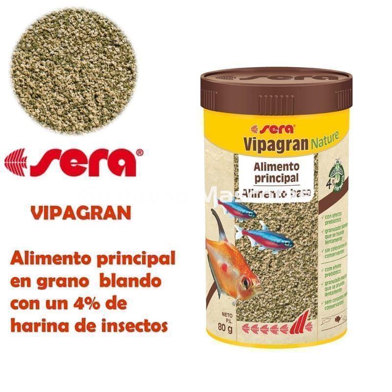 SERA Vipagran, alimento granulado para peces - Imagen 3