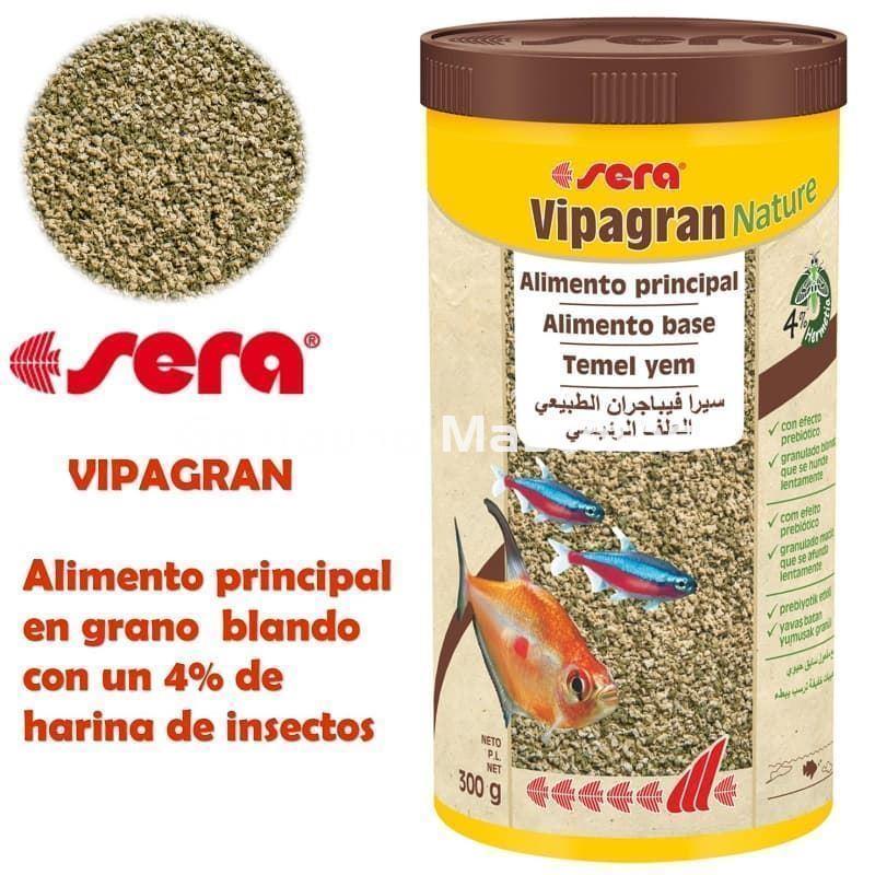 SERA Vipagran, alimento granulado para peces - Imagen 4