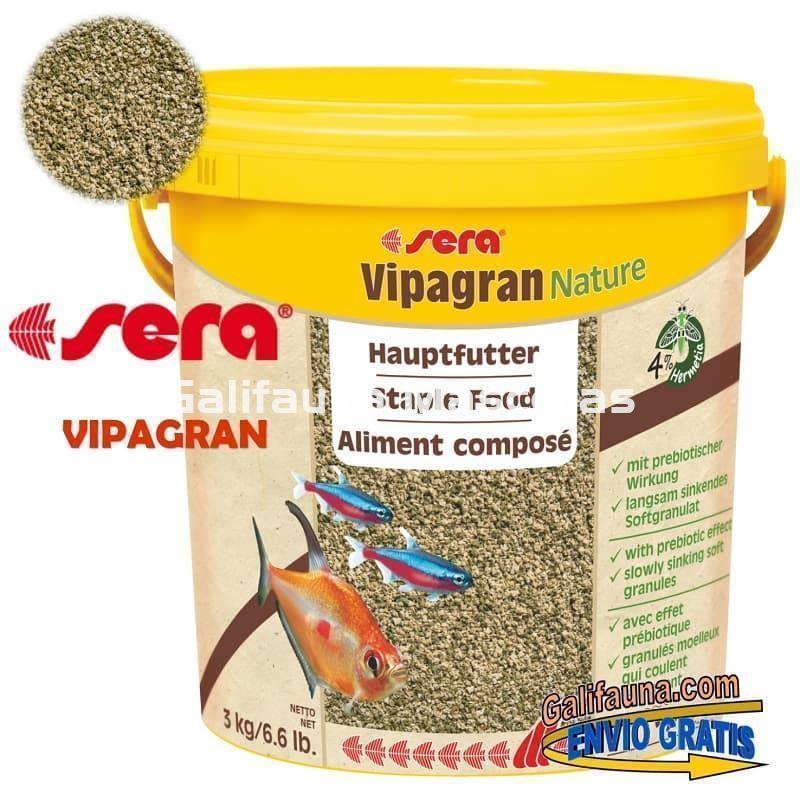 SERA Vipagran, alimento granulado para peces - Imagen 5