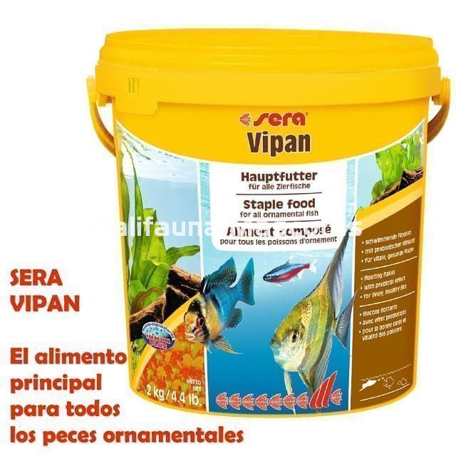 SERA Vipan 2 kg. Bote gigante. Alimento en escamas para peces. - Imagen 1