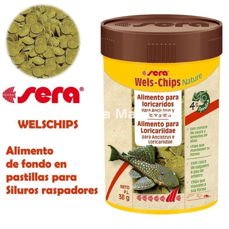 Sera Wels-Chips 100 ml. Para siluros raspadores. - Imagen 1