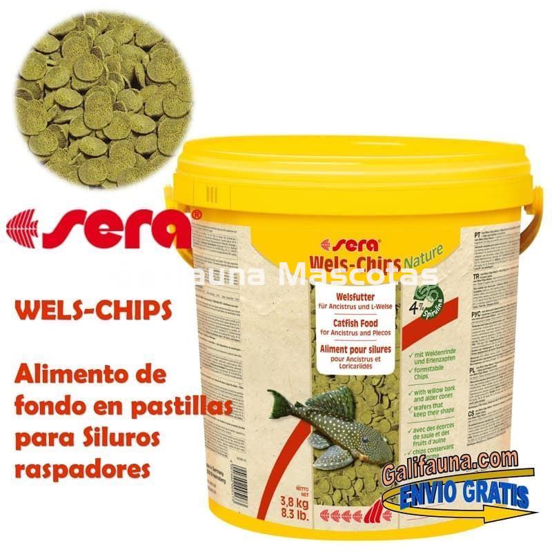 Sera Wels-Chips. Bote grande de 10 litros. Para siluros raspadores. - Imagen 1