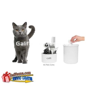 Set de cuidado del pelo de tu gato. ESPECIAL PELO CORTO. - Imagen 1