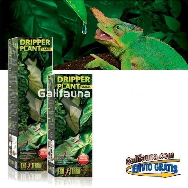 Sistema de LLUVIA POR GOTEO DRIPPER PLANT. Estimula a los reptiles a beber como en la naturaleza. - Imagen 3