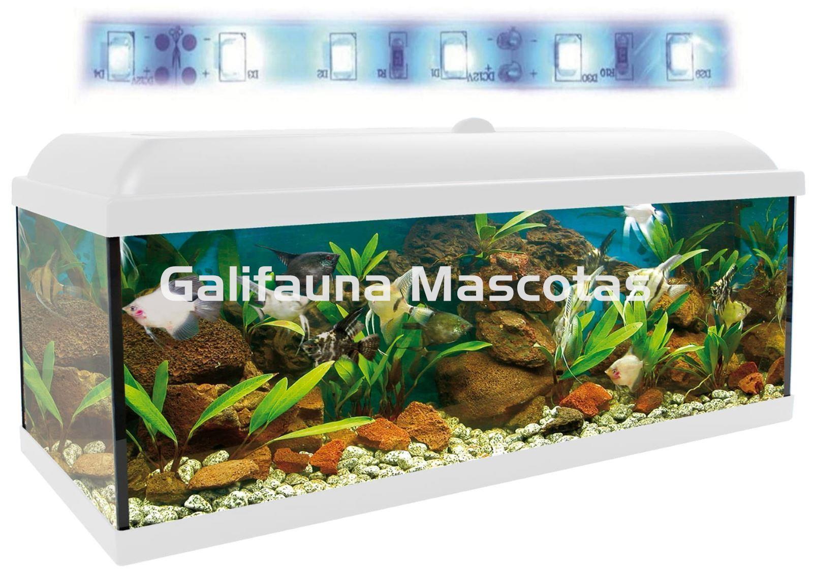 SuperKIT Acuario CLASIC LED 240 Litros con todo lo necesario para su montaje y mantenimiento. - Imagen 3