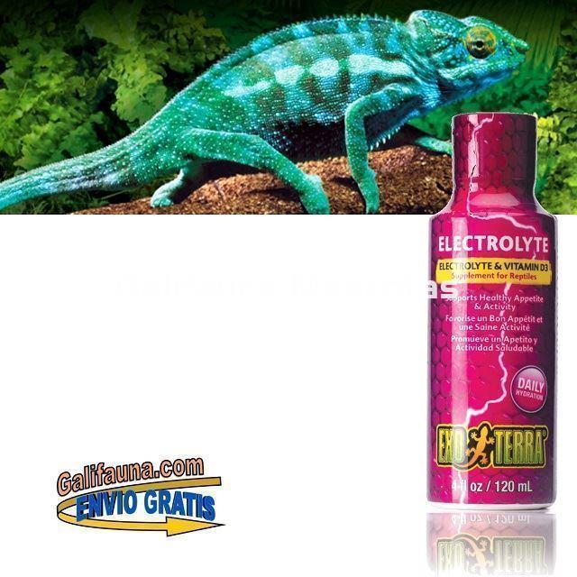 Suplemento ELECTROLITOS Y VITAMINA D3 EXO TERRA para reptiles en terrario. - Imagen 1