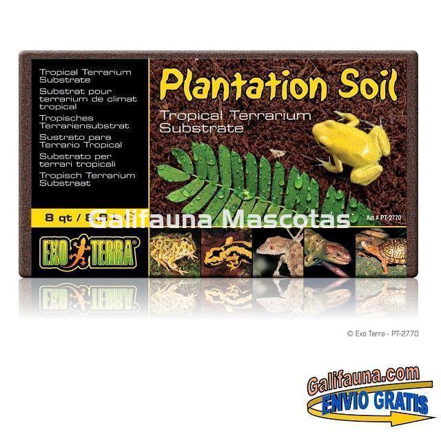 Sutrato de FIBRA DE COCO PLANTATION SOIL para terrarios. Especial Ranas, Salamandras y similares. - Imagen 2