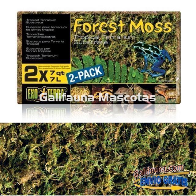 Sutrato de MUSGO NATURAL FOREST MOSS para terrarios.