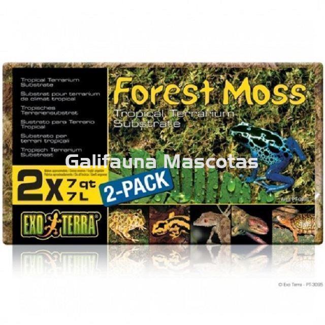 Sutrato de MUSGO NATURAL FOREST MOSS para terrarios. - Imagen 3