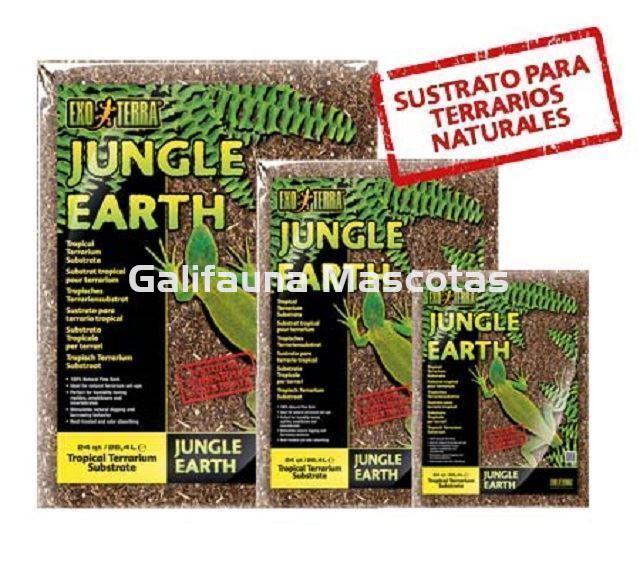 Sutrato JUNGLE EARTH para terrarios. Suelo de corteza de pino natural. - Imagen 5