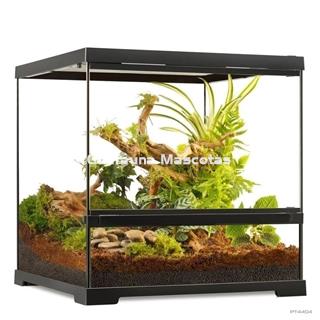 Terrario de cristal - Exo Terra Pro Terrarium de Cristal Exo Terra GRANDE - Imagen 2
