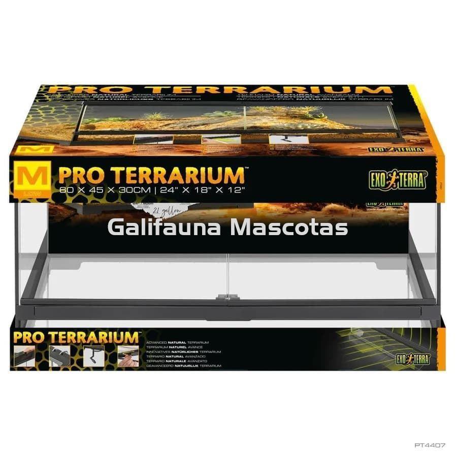 Terrario de cristal - Exo Terra Pro Terrarium de Cristal Exo Terra MEDIANO - Imagen 9