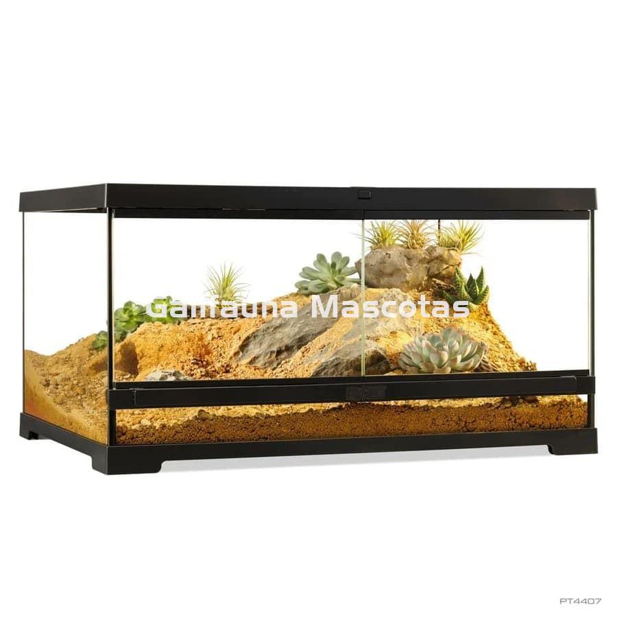 Terrario de cristal - Exo Terra Pro Terrarium de Cristal Exo Terra pequeño - Imagen 10