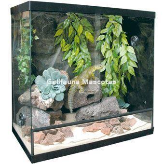 Terrario de cristal Reptiselva. Varias medidas. - Imagen 1