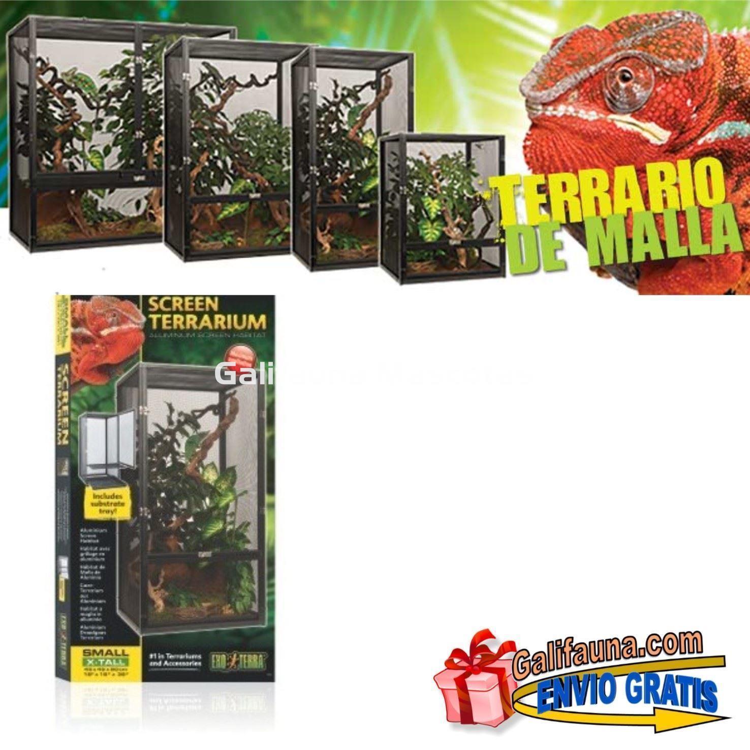 Terrario de Malla Exoterra. Flujo de aire sin restricciones. - Imagen 4