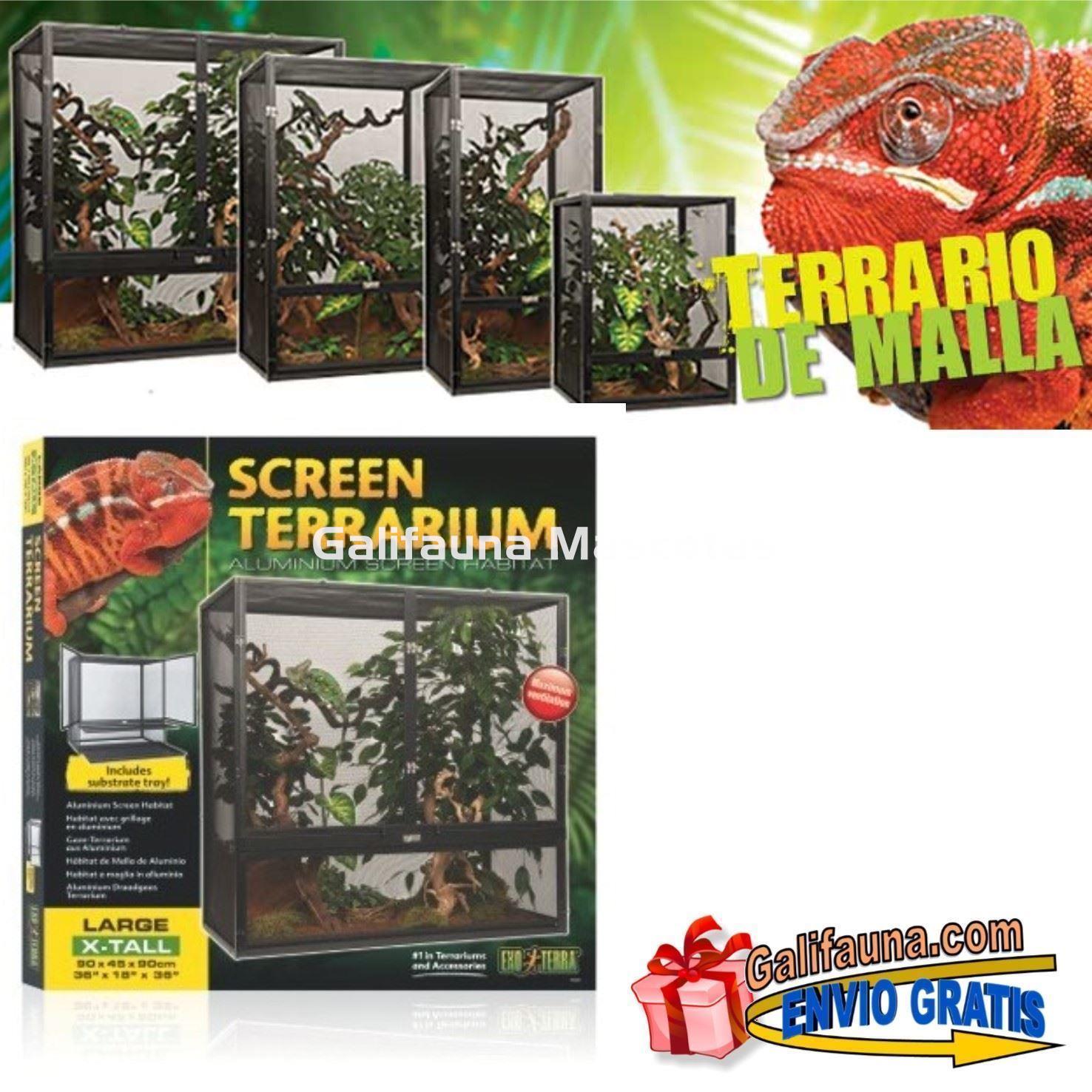 Terrario de Malla Exoterra. Flujo de aire sin restricciones. - Imagen 6