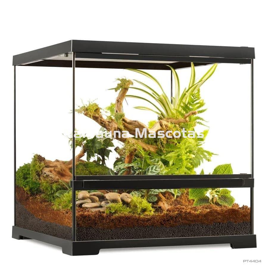 Terrario pequeño de cristal - Exo Terra Pro Terrarium de Cristal Exo Terra XS - Imagen 2