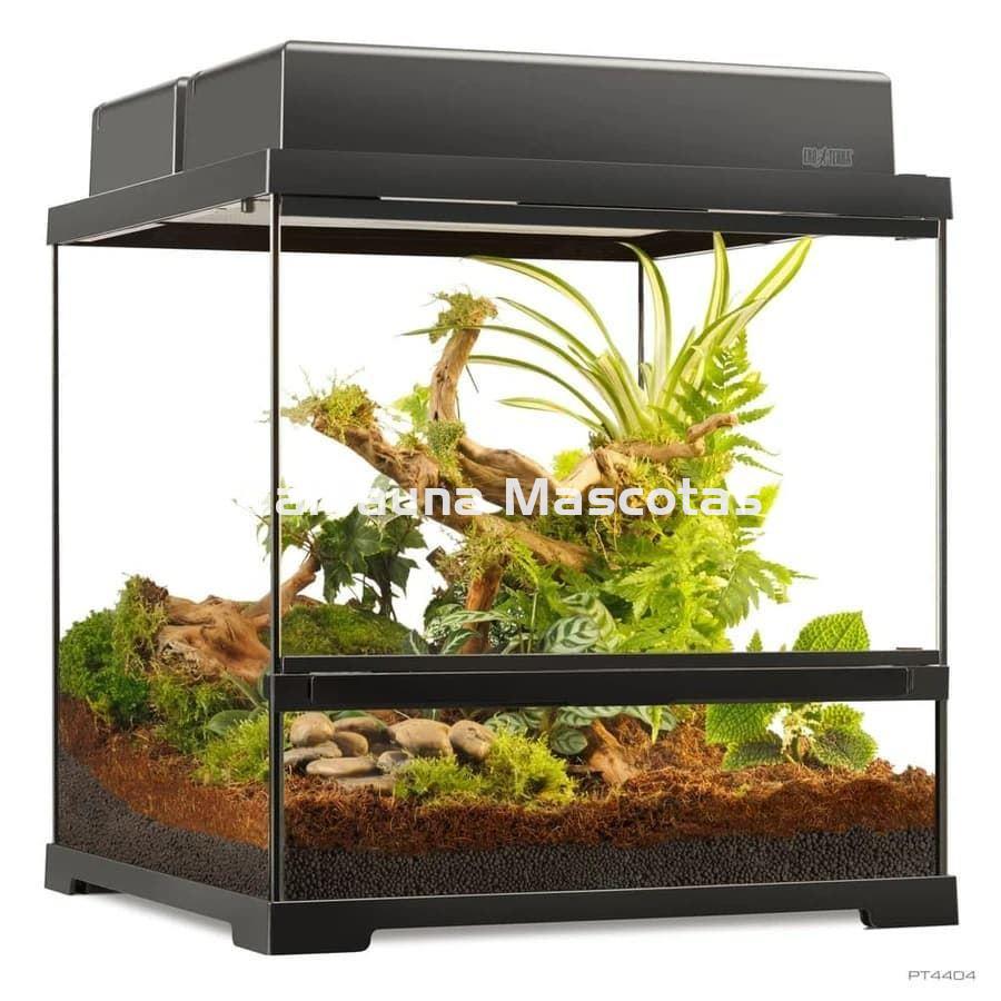 Terrario pequeño de cristal - Exo Terra Pro Terrarium de Cristal Exo Terra XS - Imagen 4