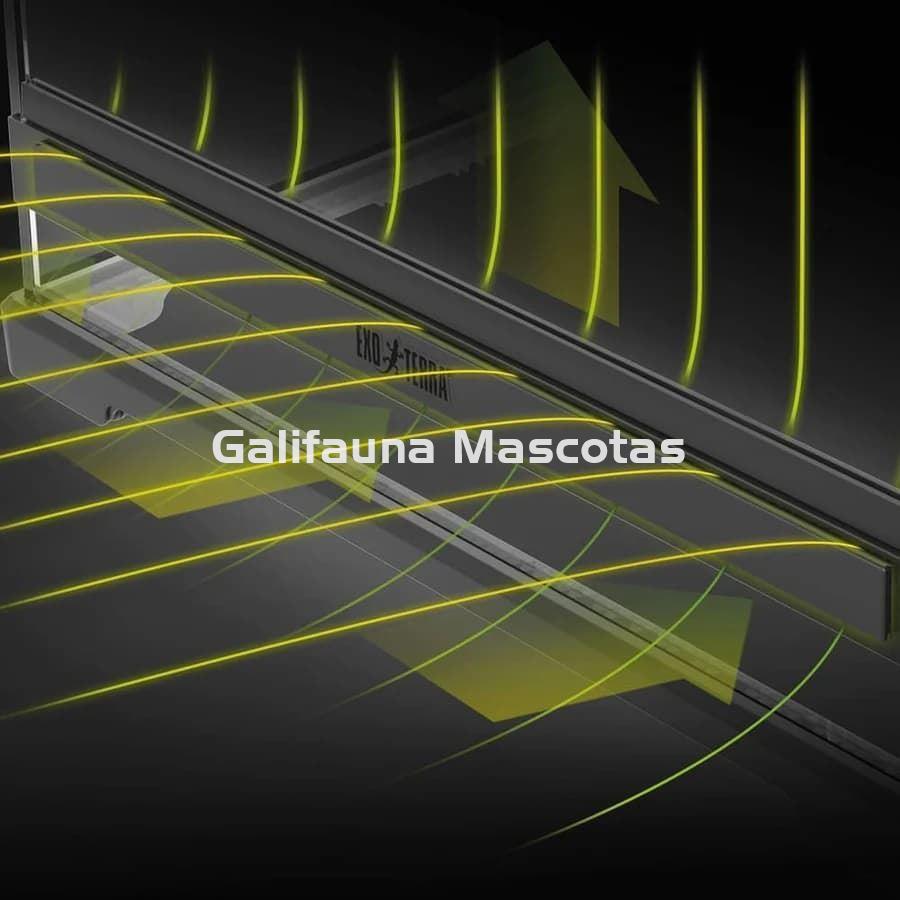 Terrario pequeño de cristal - Exo Terra Pro Terrarium de Cristal Exo Terra XS - Imagen 7