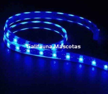 Tira de led Estanca. Azul. Varias medidas. - Imagen 2