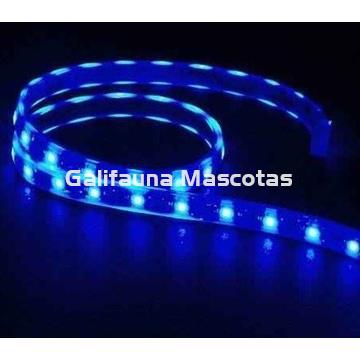 Tira de led  Estanca. Azul. Varias medidas. - Imagen 2
