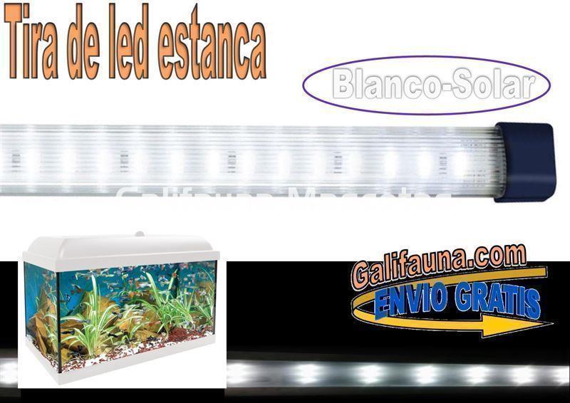 Tira de led Estanca. Blanca. Varias medidas. - Imagen 1