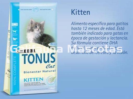 Tonus Kitten 1,5 kg. Pienso para Gatitos hasta 12 meses de edad - Imagen 2