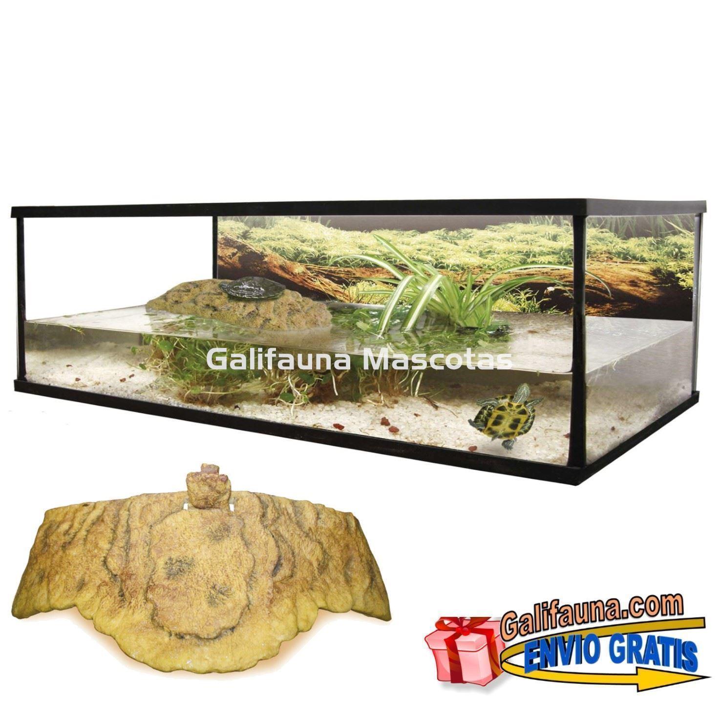 Tortuguera gigante "gran isla flotante"  80 y 100 Cm. - Imagen 1