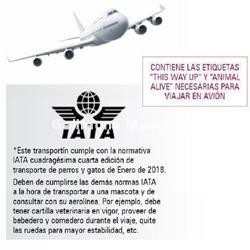 Transportin Alpha Dog + Regalo Comedero-bebedero.  Especial para los viajes de nuestro perro o gato. - Imagen 2