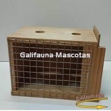 Transportín de madera en varios tamaños. - Imagen 2