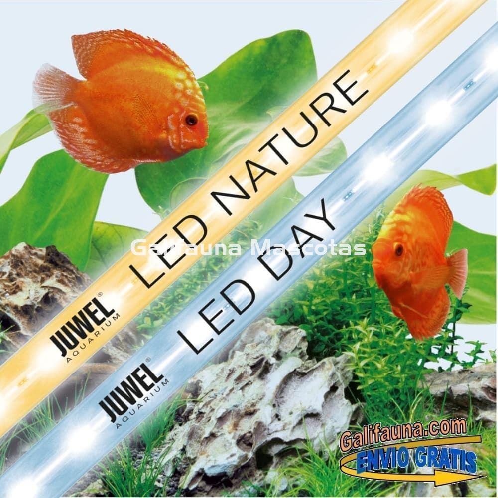 Tubo led DAY LED + Tubo Led NATURE LED para iluminación LED MultiLux de los acuarios Juwel Rio. - Imagen 1