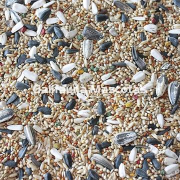 VITPRO Cotorras, Agapornis y Ninfas. Alimento super premium para aves. - Imagen 2