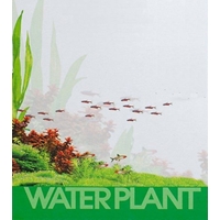 WATERPLANT