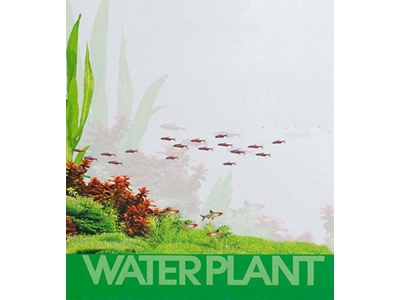 WATERPLANT