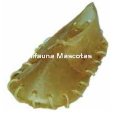 Zapatito de cuero. Especial razas pequeñas. - Imagen 1